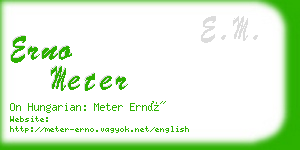 erno meter business card